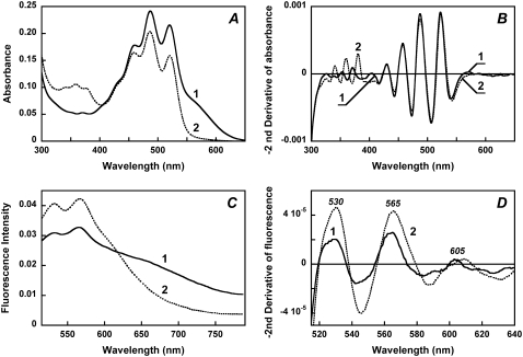 FIGURE 4