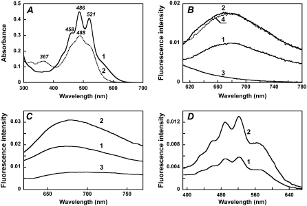 FIGURE 2