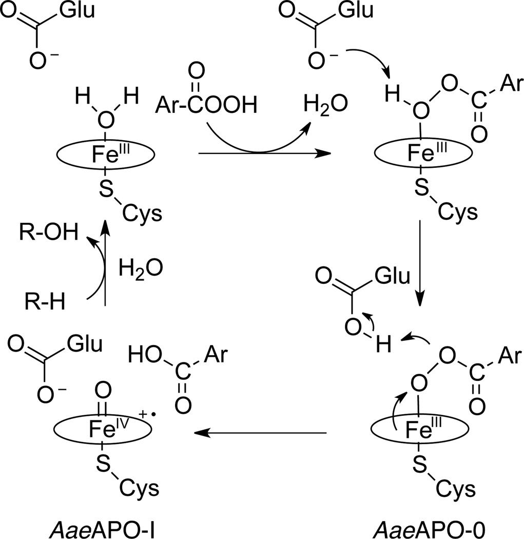 Scheme 2