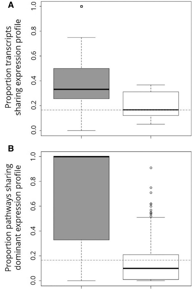 Fig. 4.—