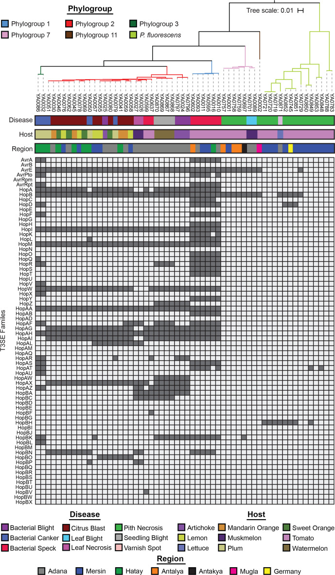 Fig. 6.