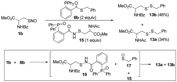 Scheme 4