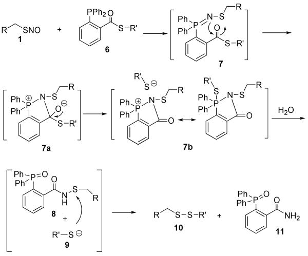 Scheme 2