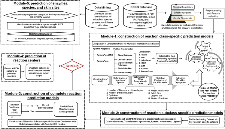 Figure 3