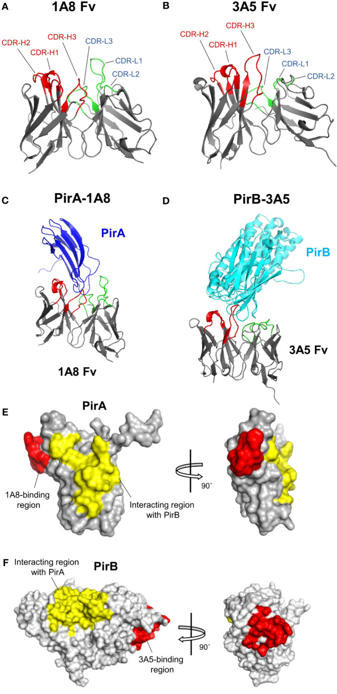 Figure 6