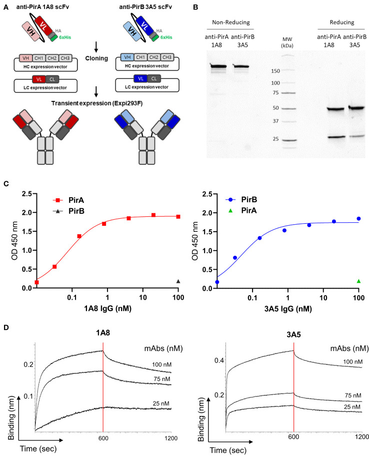 Figure 3