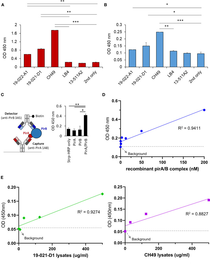 Figure 4