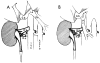 Fig 11