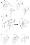 Fig 16