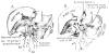 Fig 7