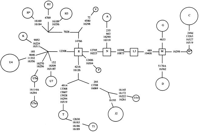 Figure  2