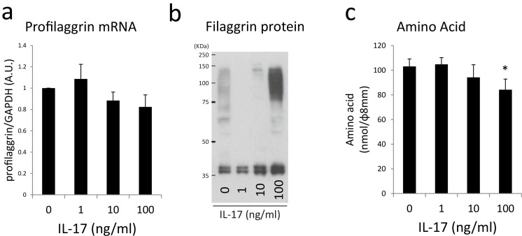 Fig 5