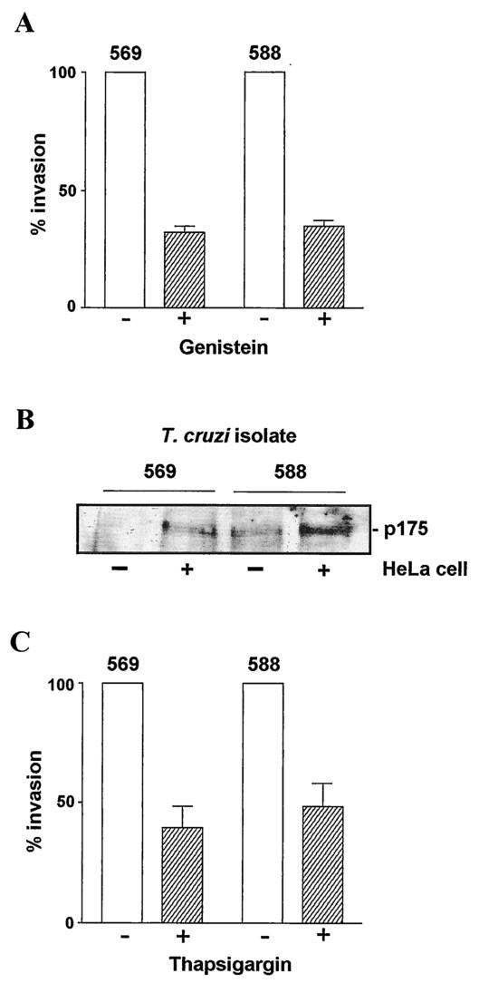 FIG. 5.