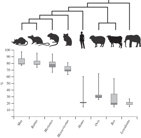 Figure 4.