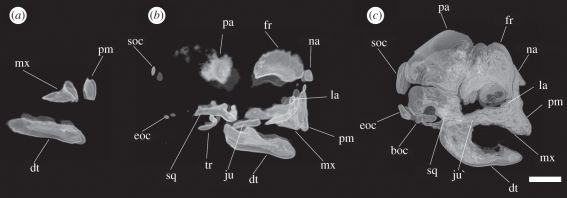 Figure 2.