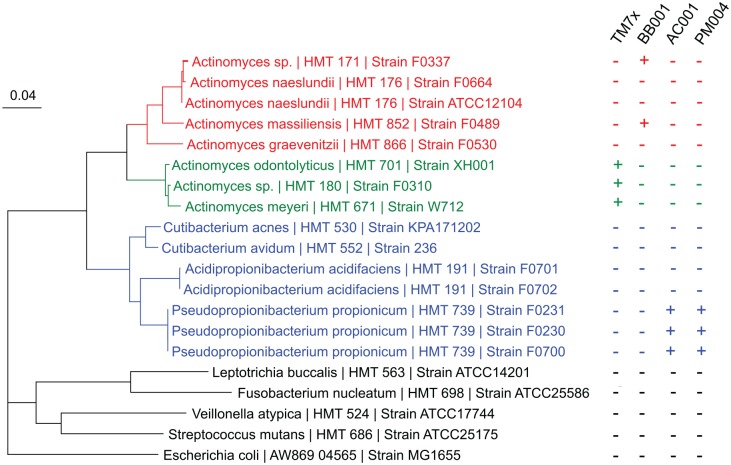 Figure 5.