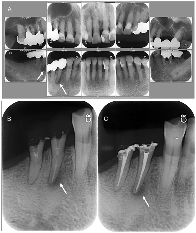 Figure 1.