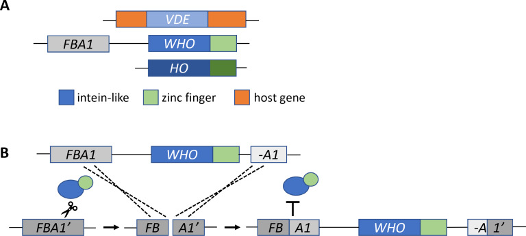 Figure 1.