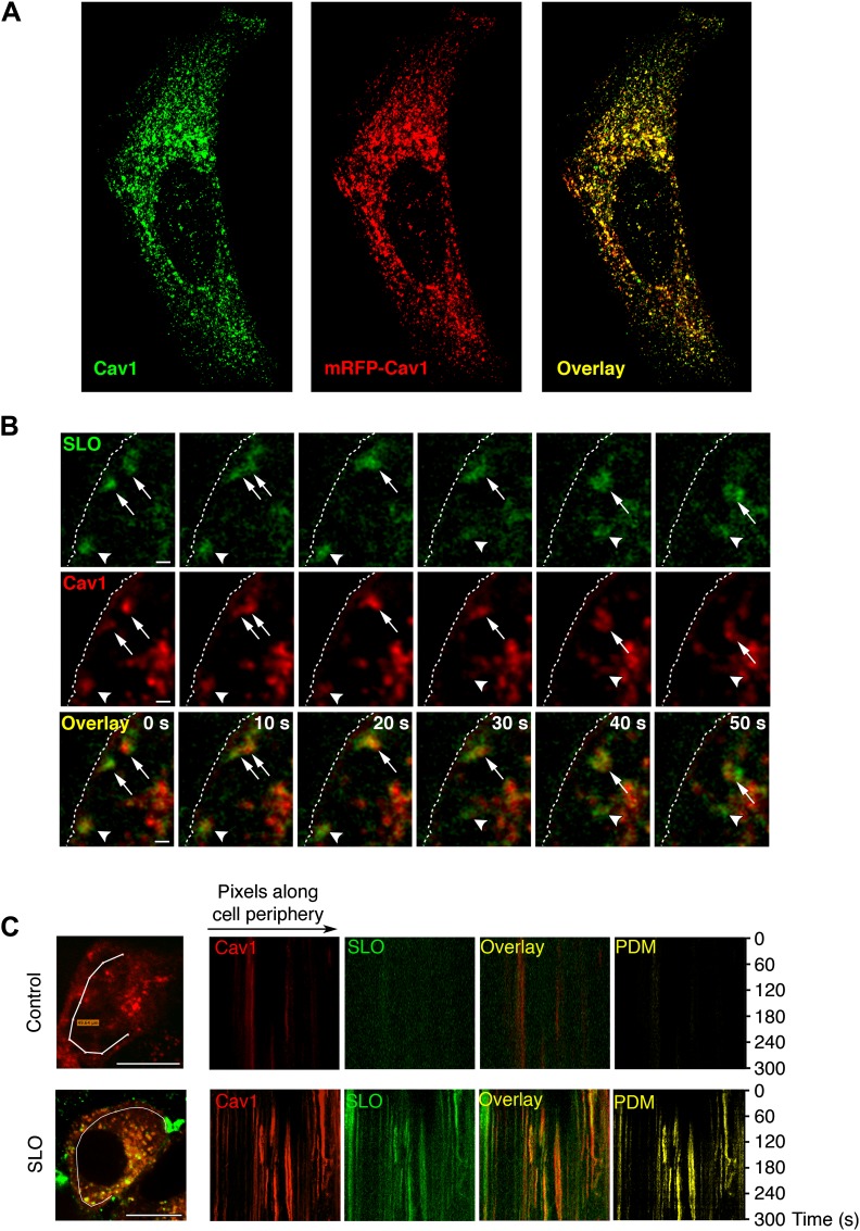 Figure 4.