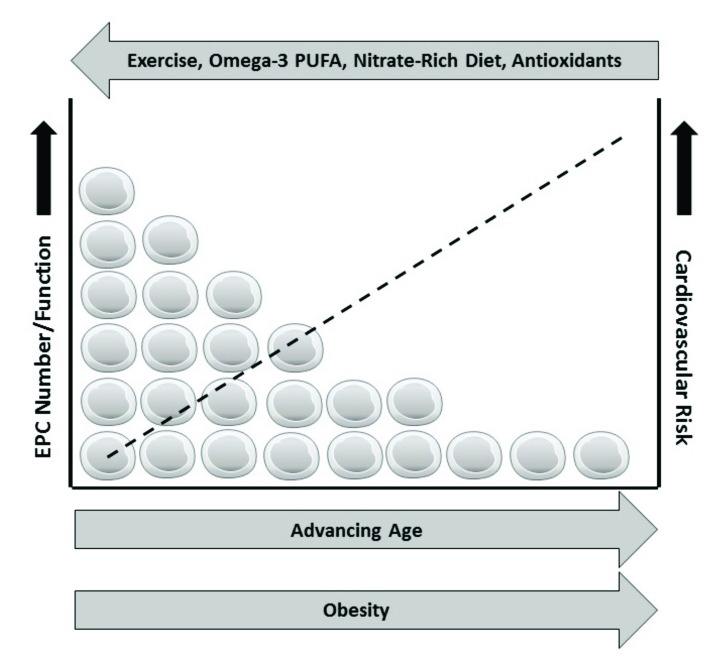 Fig. (2)