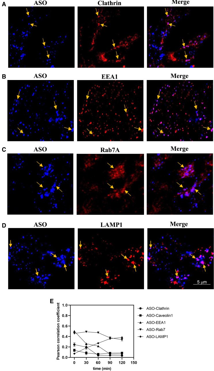 Figure 3