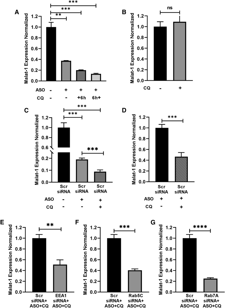 Figure 5