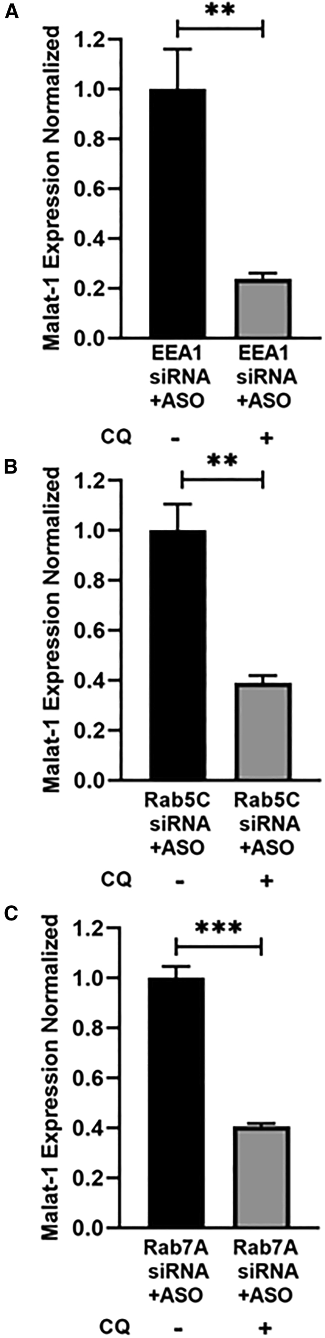 Figure 6