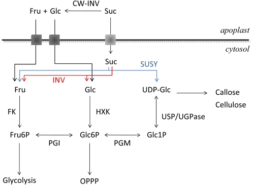 Figure 1.