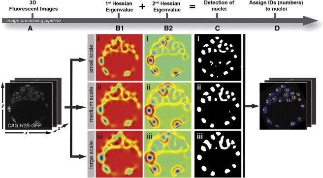 Figure 2