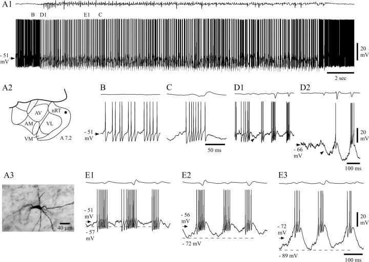 Fig. 9.