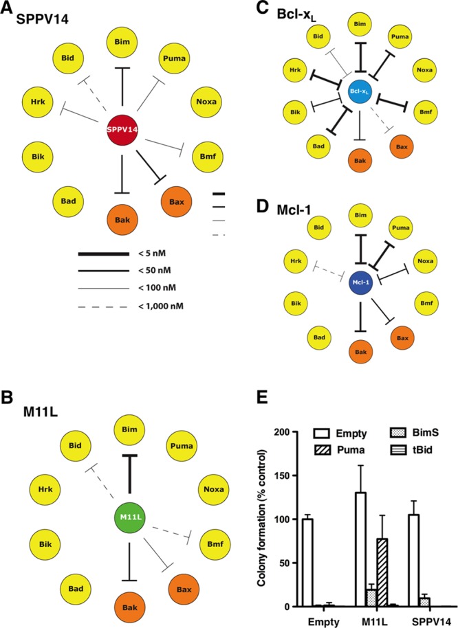 Fig 6