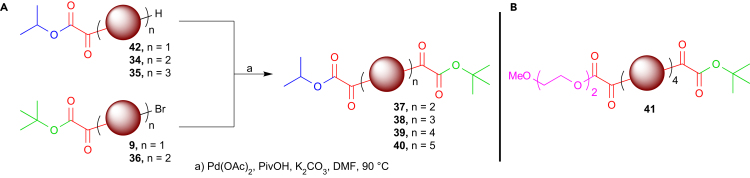 Scheme 3