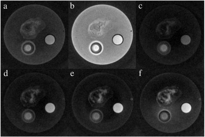 Fig. 7.