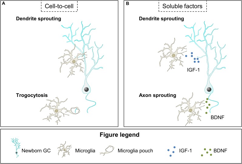 FIGURE 4