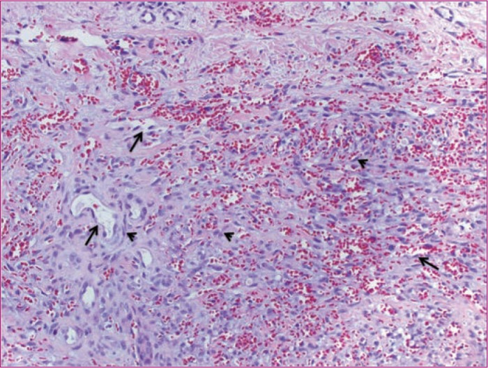 FIGURE 2.