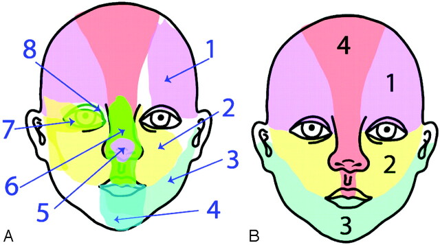 Fig 1.