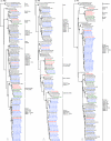 FIG. 2.