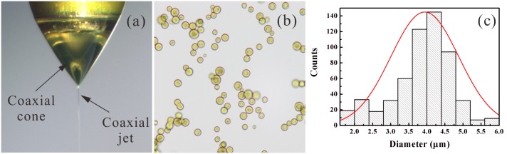 Fig 3