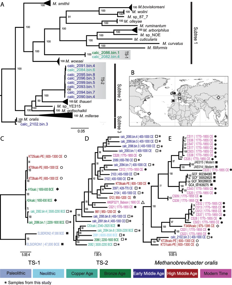 Fig. 4