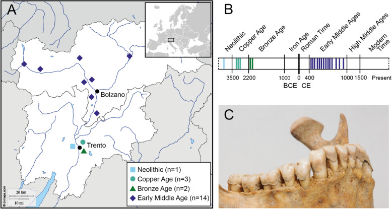 Fig. 1