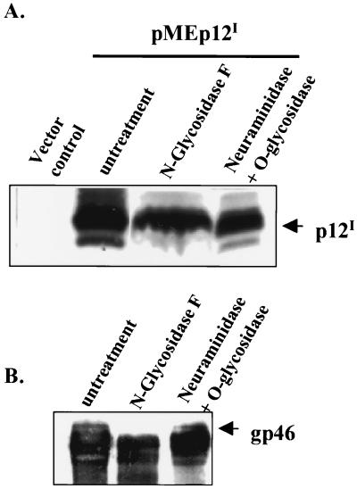 FIG. 9