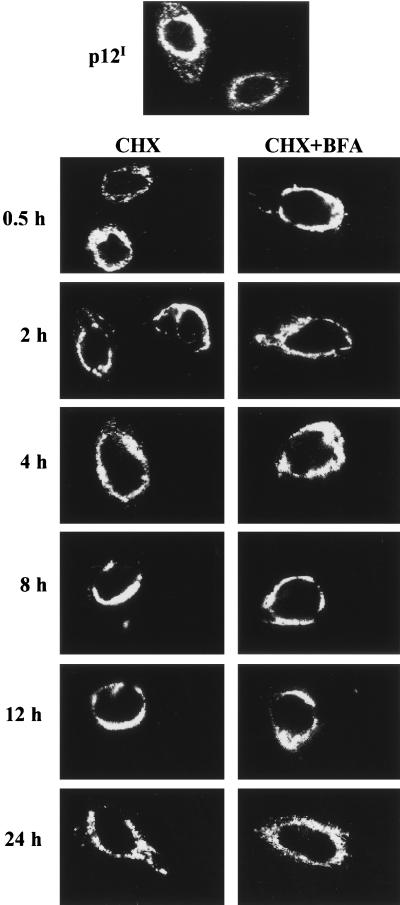 FIG. 6