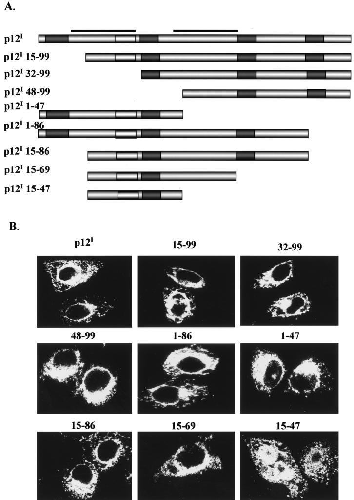 FIG. 7