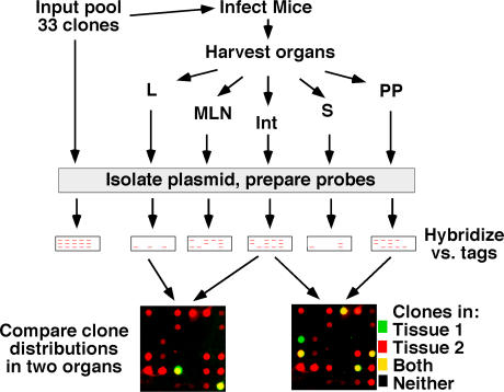 Figure 4.