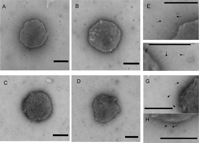 FIG. 7.