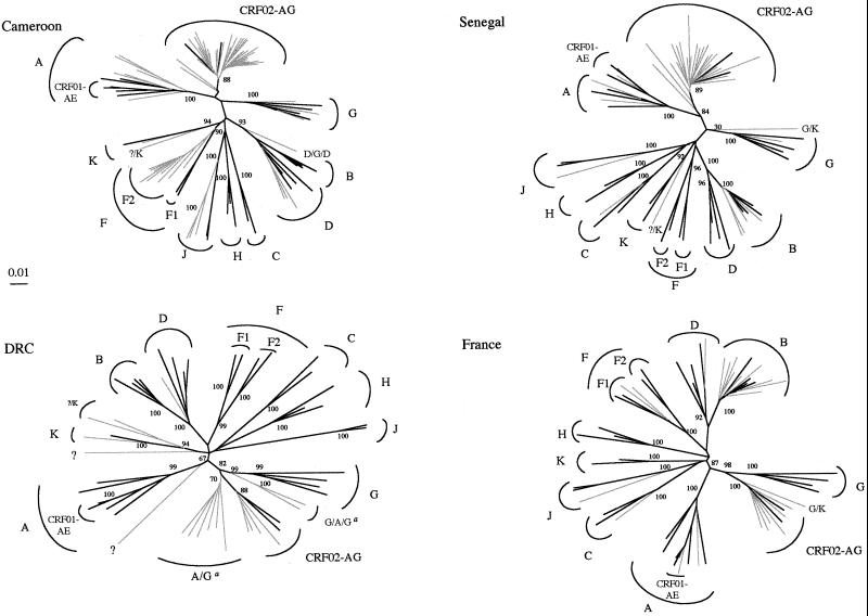 FIG. 1