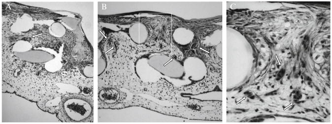 Figure 2.7