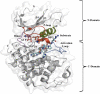 Fig. 1