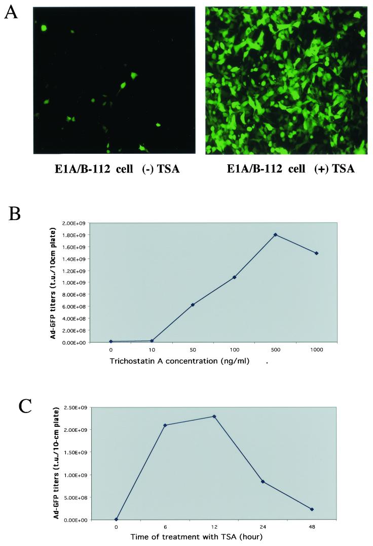 FIG.3.