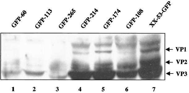 FIG. 6.